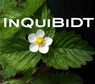 Datei:Inquibidt-Logo.jpeg