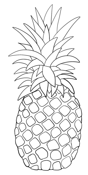 Datei:CA Ananas sw.png