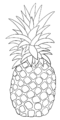 CA Ananas sw.png