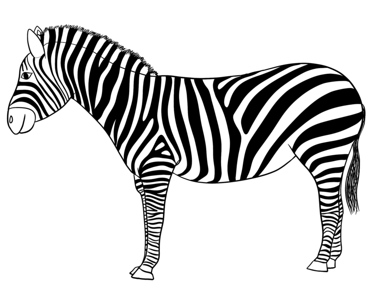 Datei:CA Zebra sw.png