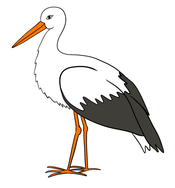 Datei:CA Storch.png