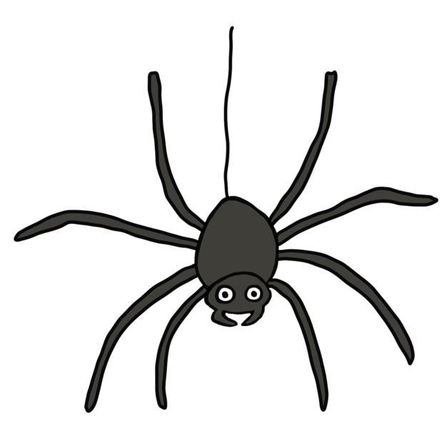 Datei:CA Spinne.png