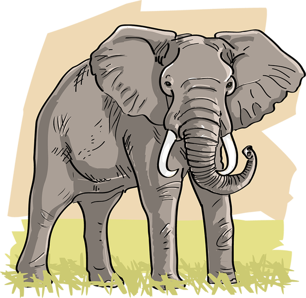 Datei:Wort.Schule - Elefant - db-seeds-word images-Elefant 4c.png