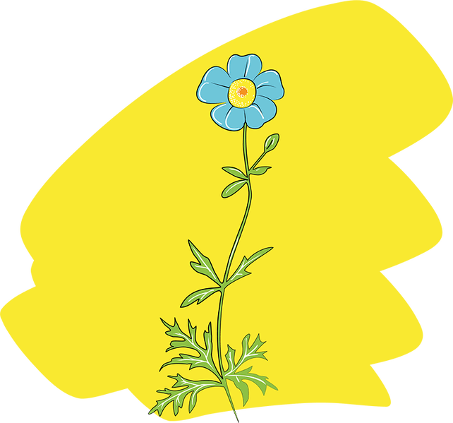 Datei:Wort.Schule - Blume - db-seeds-word images-Blume 4c.png