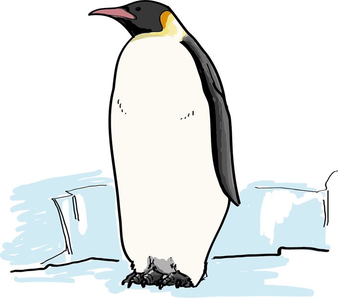Datei:Wort.Schule - Pinguin 4c.jpg