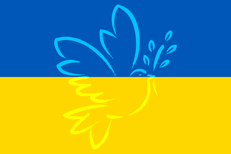 Datei:Ukraine-g65bcc0c14 1280.png