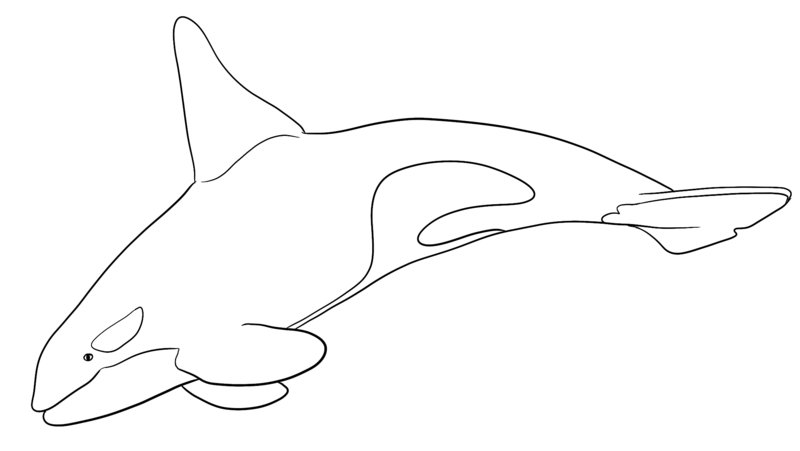 Datei:CA Orca sw.png