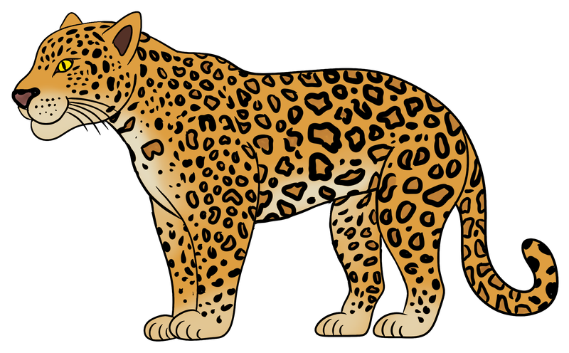 Datei:CA Jaguar.png