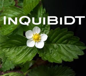 Inquibidt-Logo.jpeg