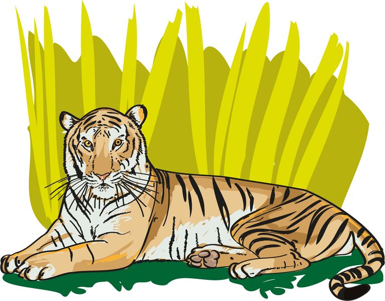 Datei:Wort.Schule - Tiger 4c.jpg