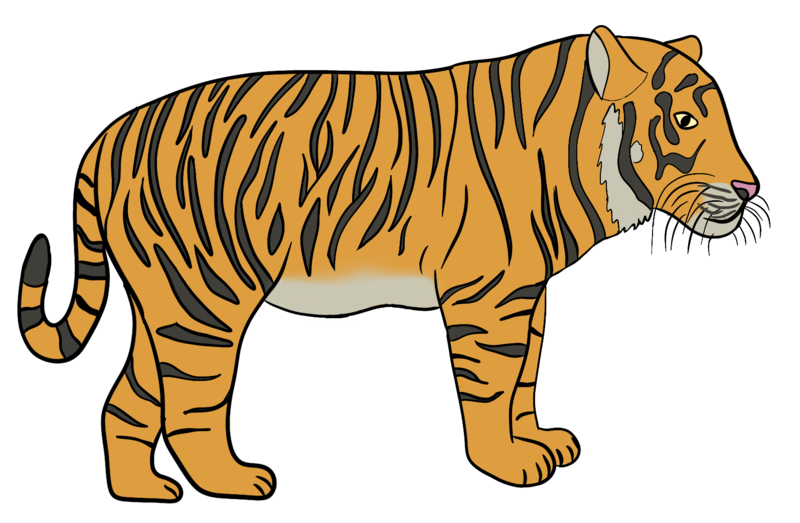 Datei:CA Tiger.png