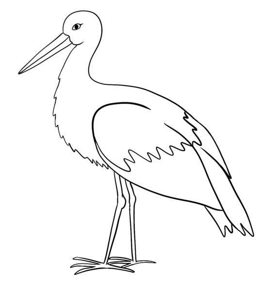 Datei:CA Storch sw.png